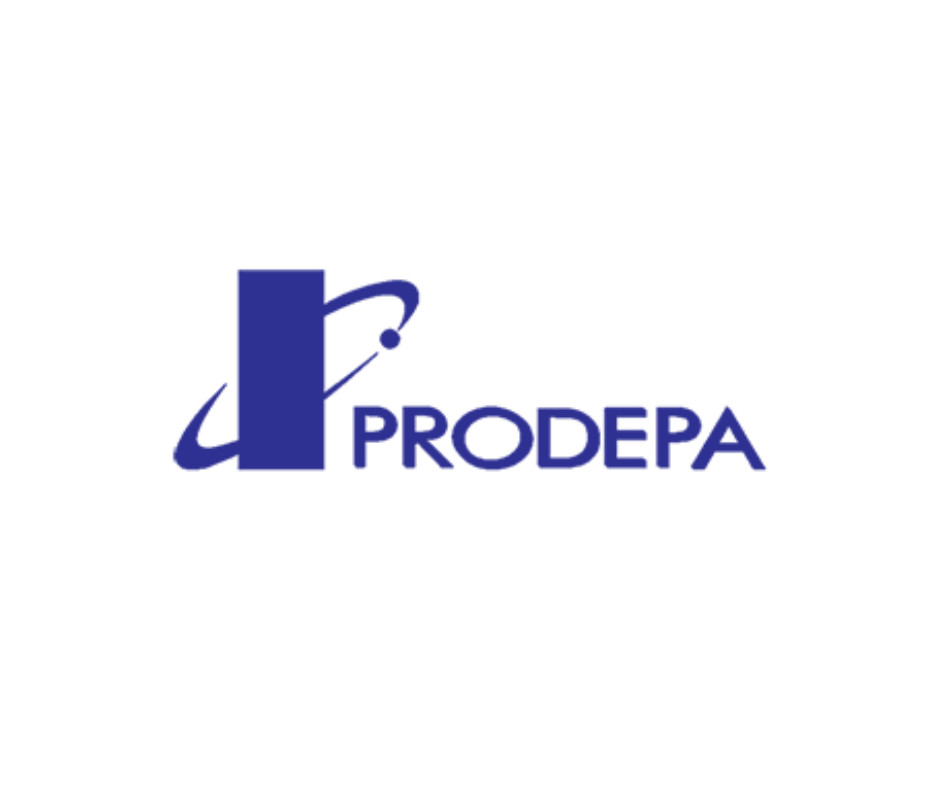 Partner 6